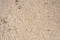 mud dirt ground cracks Royalty Free Stock Photo