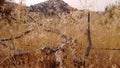 Desert hay and deadwood fences