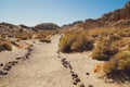 Hagen Trail at Red Rock Canyon State Park, California Royalty Free Stock Photo