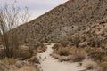 Desert trail bordered by desert vegetation, octotillo cactus in foreground, hillside in background