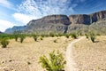 A desert hiking trail passes green shrubs with mountains in the distance