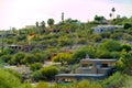 Desert hill with mansion and houses ontop with visible cactuses and palm trees in native arizona envicornments
