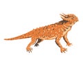 Desert Horned Lizard Side View WPA Poster Art