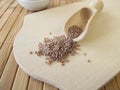 Desert Indianwheat seeds, Plantaginis ovatae semen Royalty Free Stock Photo