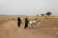 Desert inhabitants with donkeys Royalty Free Stock Photo