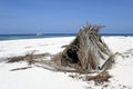 Desert island beach shelter Royalty Free Stock Photo