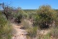 desert - kalbarri - western australia