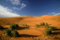 Desert in Kalmykia. Royalty Free Stock Photo