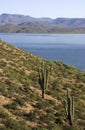 Desert lake hillside