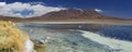 Desert lake Laguna CaÃÂ±apa, Altiplano, Bolivia