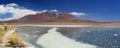Desert lake Laguna CaÃÂ±apa, Altiplano, Bolivia on a sunny day