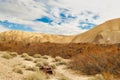 Desert landscape with abandoned car, Mojave Desert, California Royalty Free Stock Photo