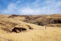 Namib-Naukluft National Park, Namibia, Africa Royalty Free Stock Photo