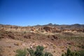 Desert Landscape