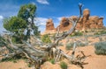 Desert landscape, Arches National Park, UT Royalty Free Stock Photo