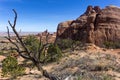 Desert landscape, Arches National Park Royalty Free Stock Photo