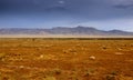 Desert landscape in Arizona