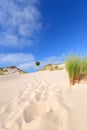 Desert landscape