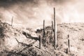 Desert Landscape in Black and White