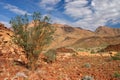 Desert landscape, Brandberg mountain, Namibia Royalty Free Stock Photo