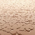 Desert landscape with cracked earth