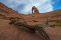 Desert Landscape Delicate Arch Royalty Free Stock Photo