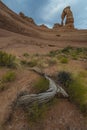 Desert Landscape Delicate Arch