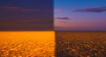 Desert landscape with a dramatic contrast between left and right halves. The left side Royalty Free Stock Photo