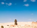 Douz,desert landscape,sahara,tunisia,africa Royalty Free Stock Photo