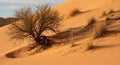 A desert landscape featuring sand dunes Royalty Free Stock Photo