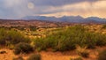 A desert landscape with a few bushes and mountains in the background Royalty Free Stock Photo