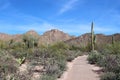 The Desert Discovery Nature Trail through the desert landscape of Saguaro National Park in Tucson, Arizona