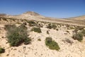 Desert landscape, Fuerteventura, Spain Royalty Free Stock Photo