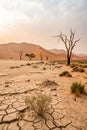 Desert Landscape Global Warming Concept Royalty Free Stock Photo