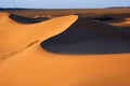 Desert landscape, Gobi desert, Mongolia Royalty Free Stock Photo