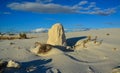 Desert landscape of gypsum dunes, plant roots pinned sand at White Sands National Monument in New Mexico, USA Royalty Free Stock Photo