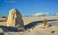 Desert landscape of gypsum dunes, plant roots pinned sand at White Sands National Monument in New Mexico, USA Royalty Free Stock Photo