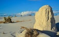 Desert landscape of gypsum dunes, plant roots pinned sand at White Sands National Monument in New Mexico, USA Royalty Free Stock Photo