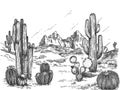 Desert landscape. Hand drawn mexican prairie with plants and blooming cactuses, prickly succulents nature wild west