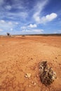Desert landscape on the Hato Plain, CuraÃÂ§ao Royalty Free Stock Photo