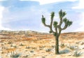 Desert landscape with Joshua tree Yucca brevifolia Royalty Free Stock Photo