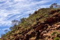 Desert landscape. Kings Canyon, Watarrka National Park, Northern Territory, Australia Royalty Free Stock Photo