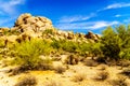 Desert Landscape and Large Rock Formation with Barrel Cacti