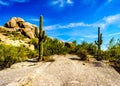 Desert Landscape and Large Rock Formations with Saguaro Cacti Royalty Free Stock Photo