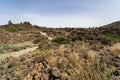 Desert landscape from Las Canadas caldera of Teide volcano.