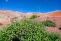 Desert landscape