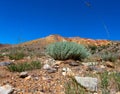 Desert landscape