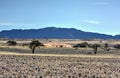 Desert Landscape - NamibRand, Namibia Royalty Free Stock Photo