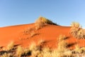 Desert Landscape - NamibRand, Namibia Royalty Free Stock Photo