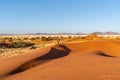 Desert landscape of NamibRand Nature Reserve, Namib, Namibia, Africa Royalty Free Stock Photo